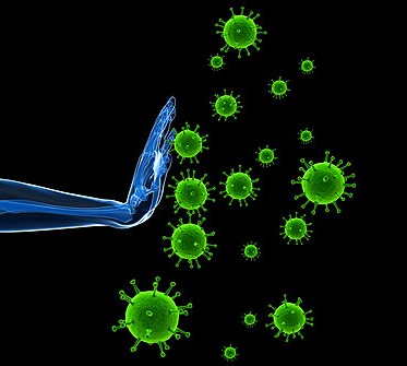 La espirulina: un alga que mejora el sistema inmunológico